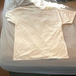 A plane white large Hanes T-Shirt.
